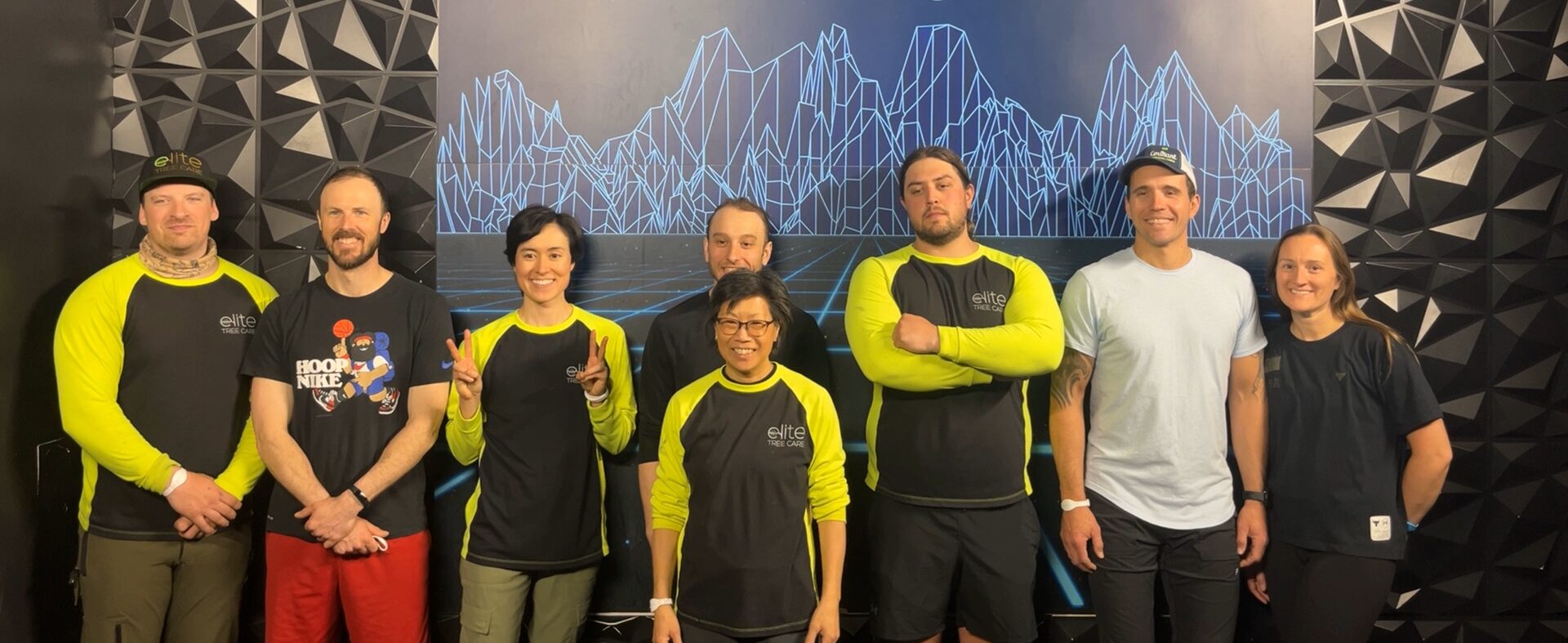 Elite Tree Care photo 1